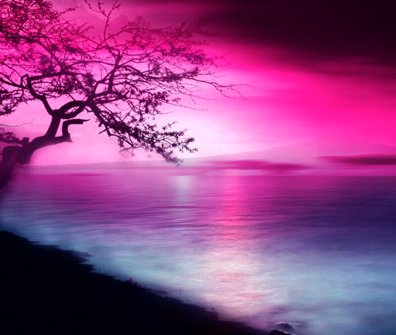 Silhouetted Tree by Water — Pink