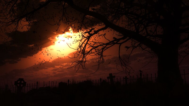 Silhouetted Tree in Cemetery