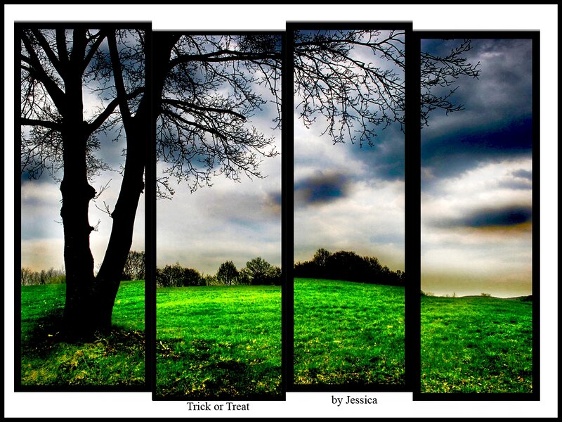 Silhouetted Tree in Field — Green, Dramatic, Afternoon