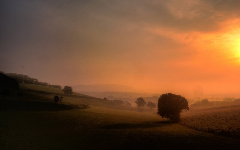 Silhouetted Tree in Field — Orange, Serene, Sunset, Photograph