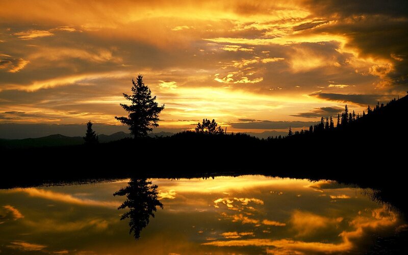 Silhouetted Tree in Lake — Orange, Dramatic, Sunset, Photograph