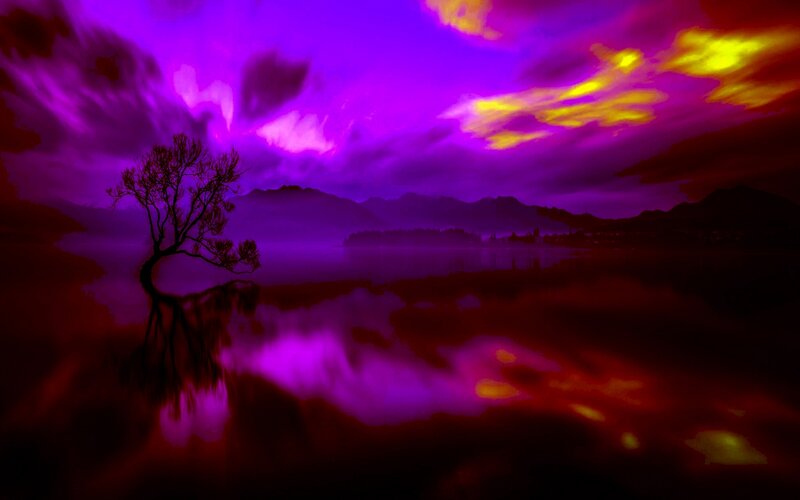 Silhouetted Tree in Lake — Purple