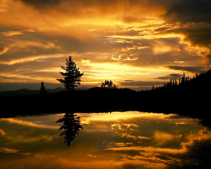 Silhouetted Tree in Lake