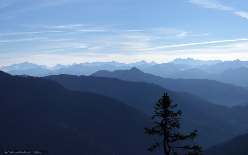 Silhouetted Tree in Mountains — Blue, Serene