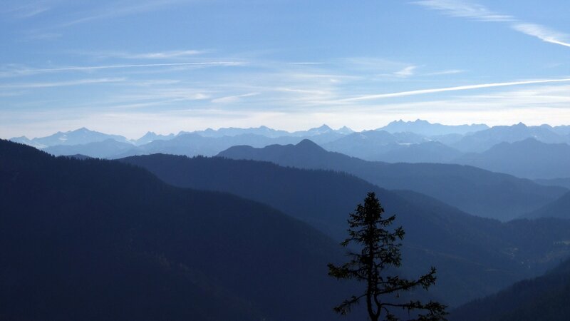 Silhouetted Tree in Mountains — Blue