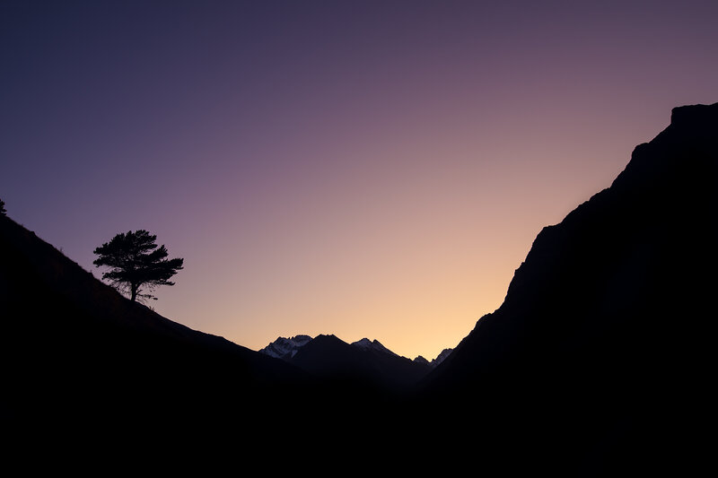 Silhouetted Tree in Valley — Purple