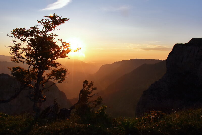Silhouetted Tree in Valley