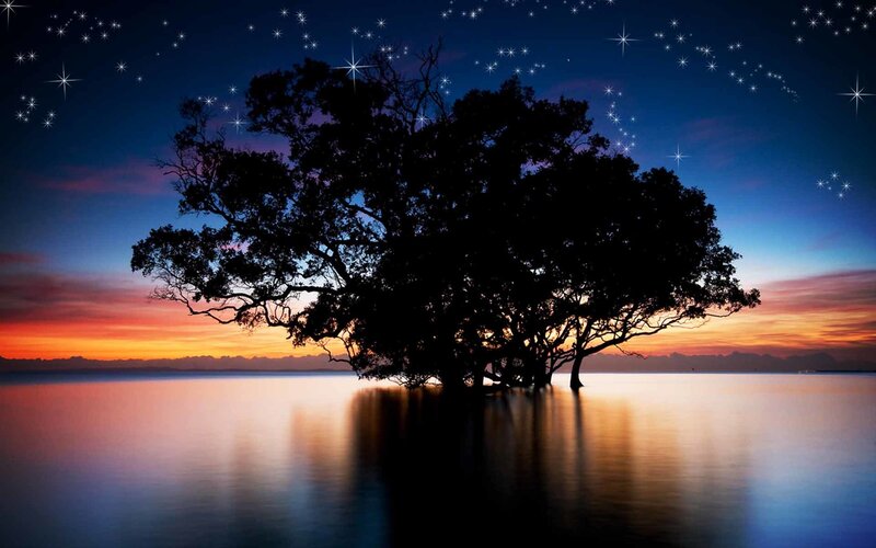 Silhouetted Tree in Water — Blue, Serene, Sunset
