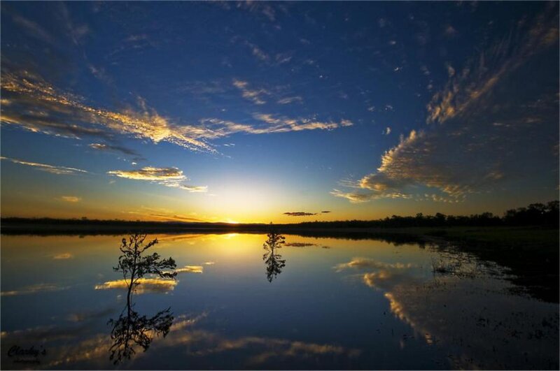 Silhouetted Tree in Water — Blue, Serene