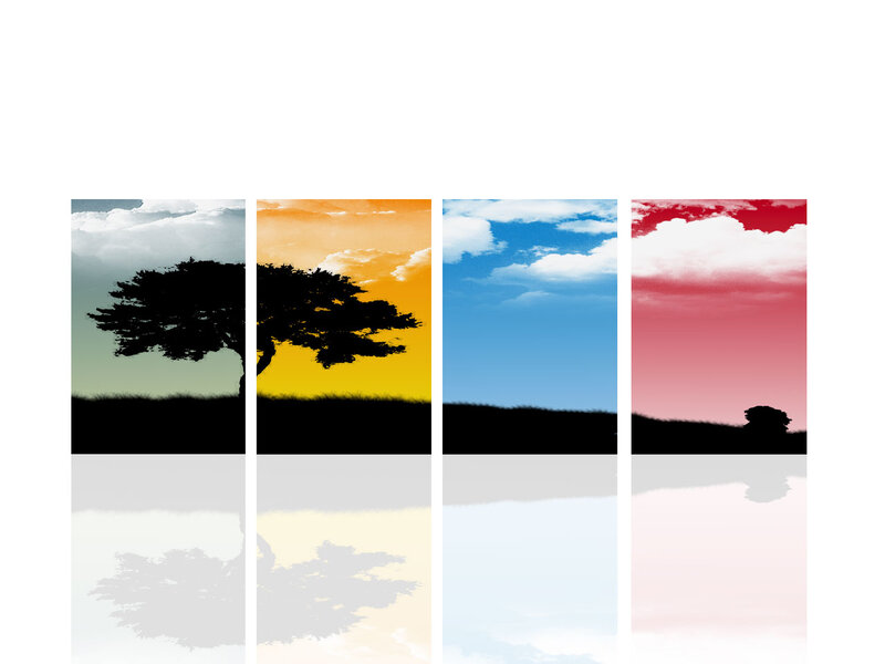 Silhouetted Tree Landscape