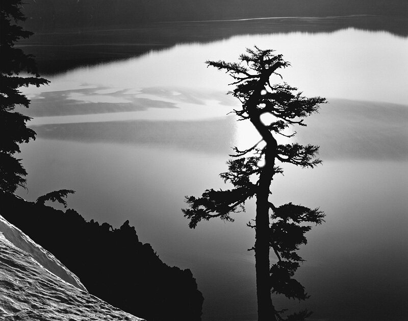 Silhouetted Tree on Cliff — Black