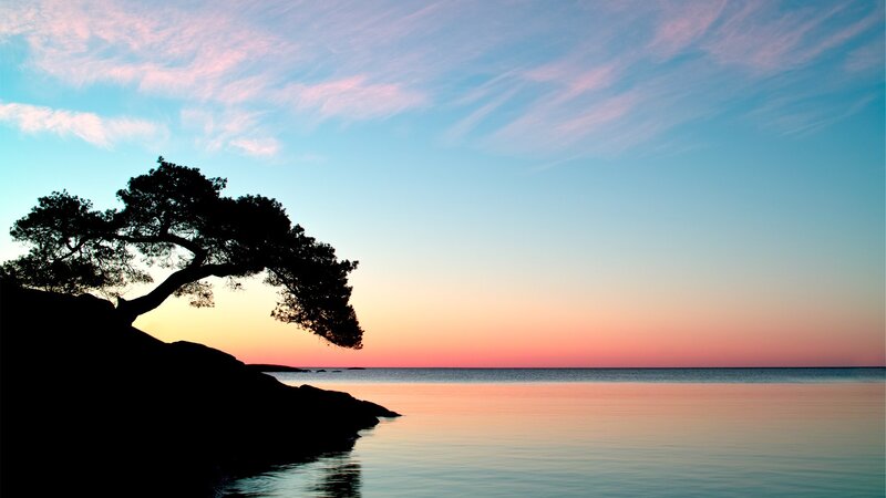 Silhouetted Tree on Cliff — Blue