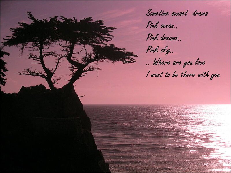 Silhouetted Tree on Cliff — Pink