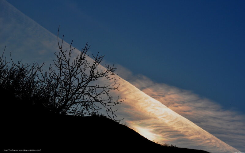 Silhouetted Tree on Hill — Blue, Dramatic, Sunset