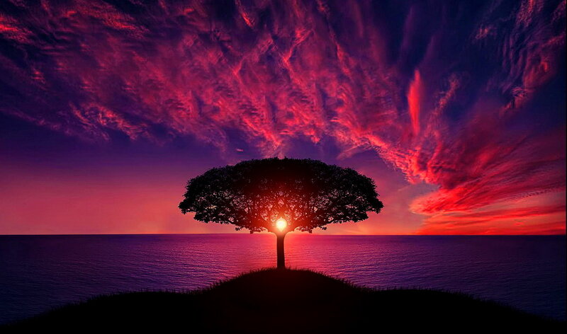 Silhouetted Tree on Hill — Purple
