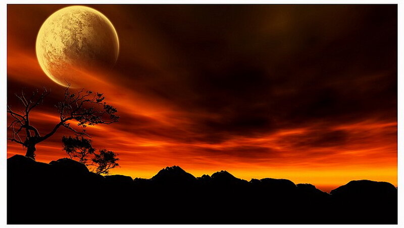 Silhouetted Tree on Hill