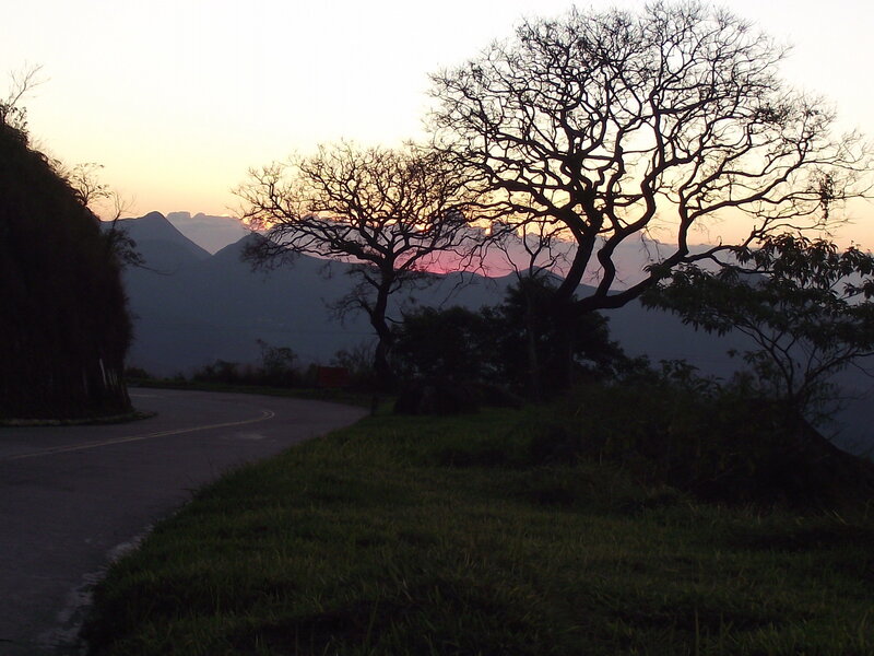 Silhouetted Tree on Hillside