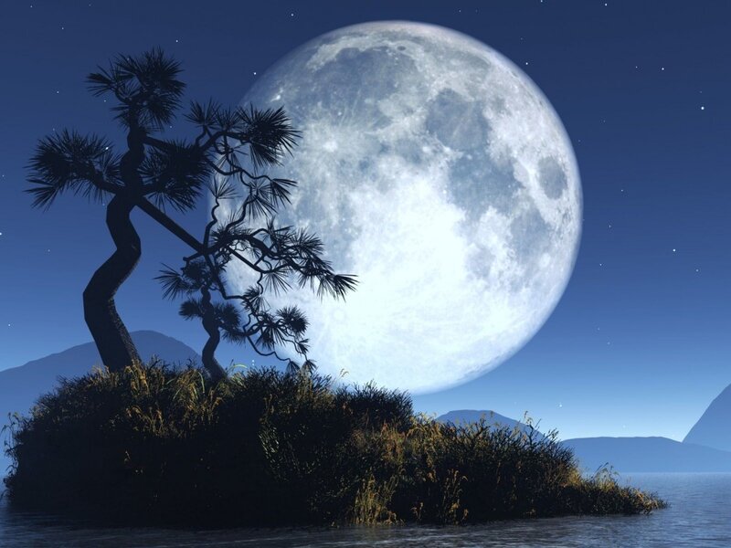 Silhouetted Tree on Island — Blue, Serene, Night, Digital Art, Moon, Mountains