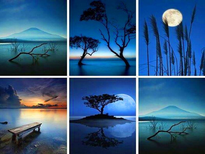 Silhouetted Tree on Island — Blue, Serene, Night, Photograph