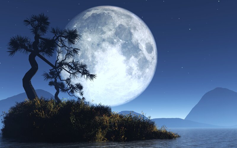 Silhouetted Tree on Island — Blue, Serene, Night