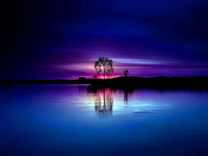 Silhouetted Tree on Island — Blue