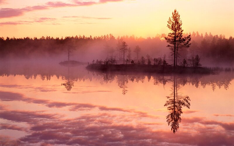 Silhouetted Tree on Island — Pink, Serene