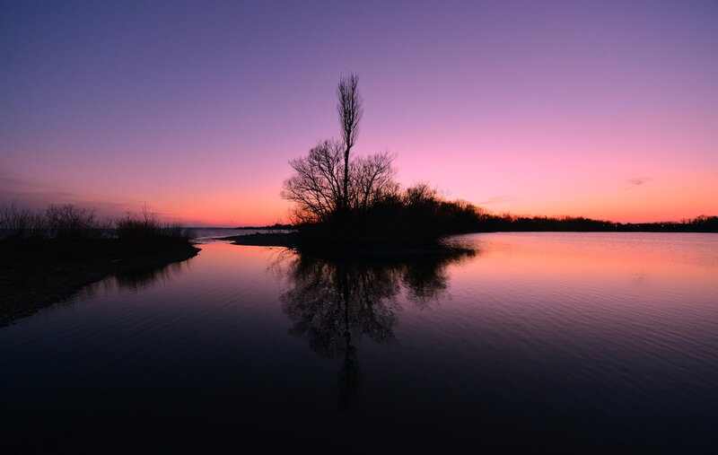 Silhouetted Tree on Island — Purple, Serene, Sunset