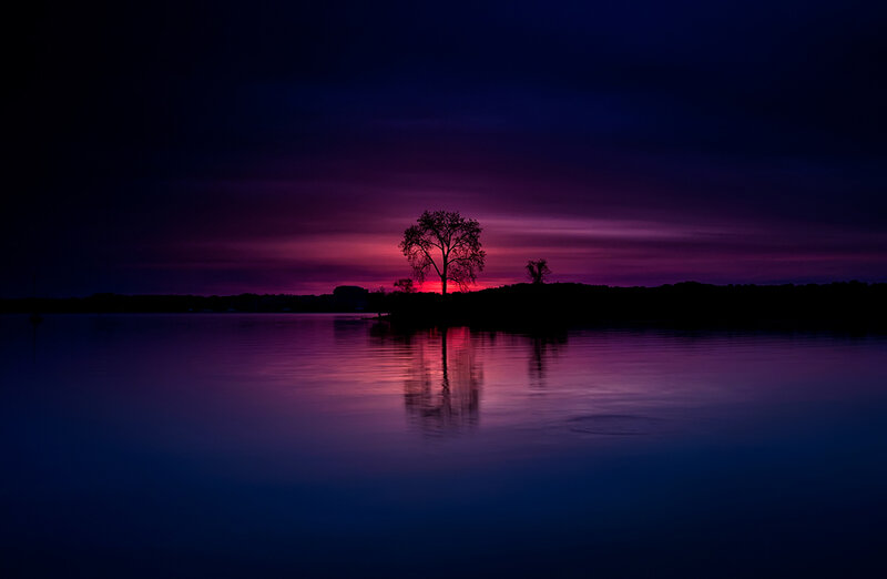 Silhouetted Tree on Island — Purple, Serene