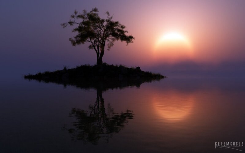 Silhouetted Tree on Island — Purple