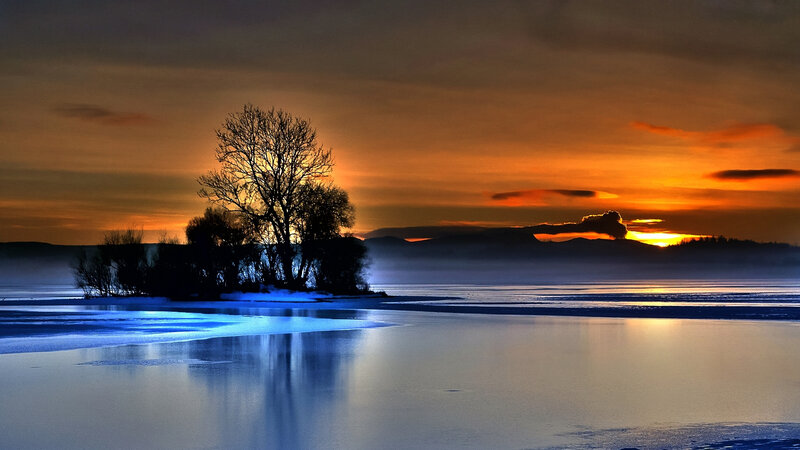 Silhouetted Tree on Island