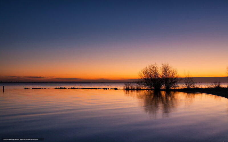 Silhouetted Tree on Lake — Orange, Serene