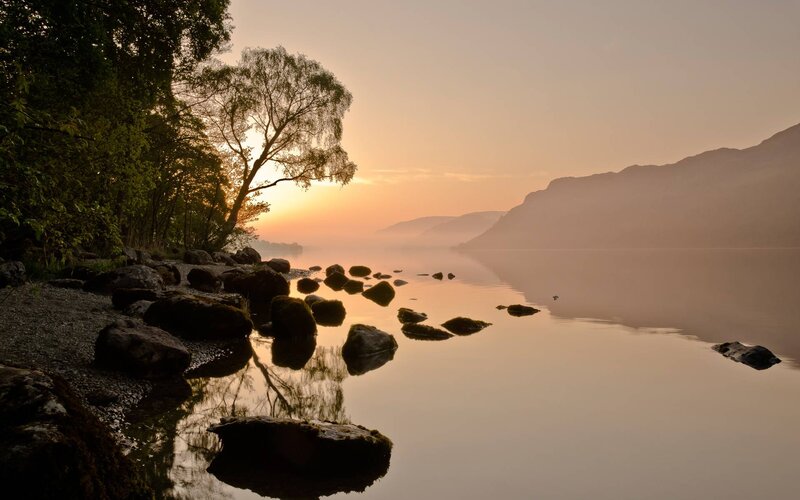 Silhouetted Tree on Lake Shore — Orange