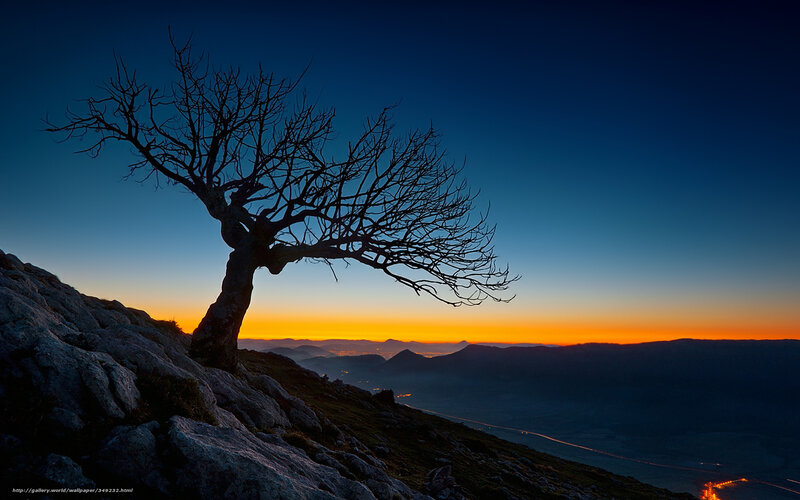 Silhouetted Tree on Mountain — Blue