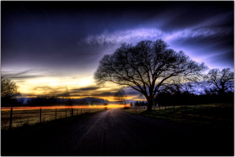 Silhouetted Tree on Road — Blue