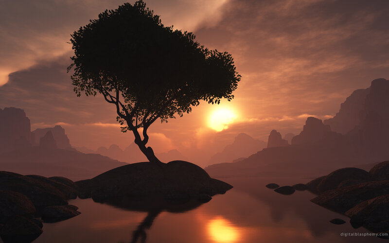 Silhouetted Tree on Rock — Orange, Serene
