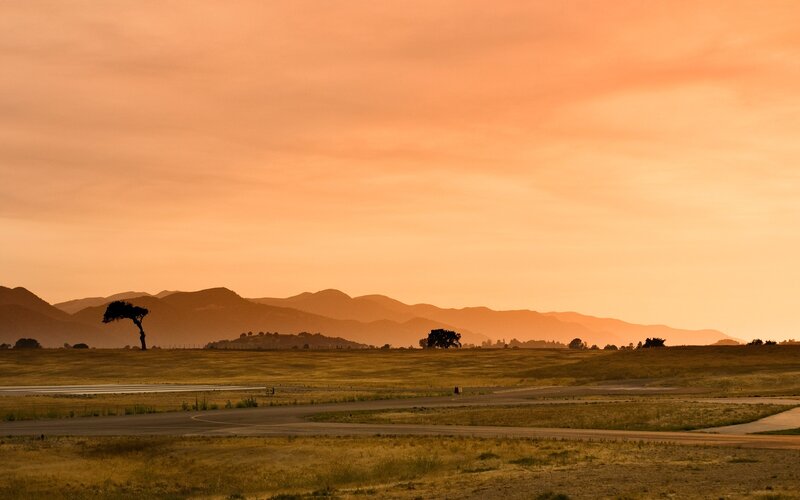 Silhouetted Tree on Runway — Orange, Serene, Sunset