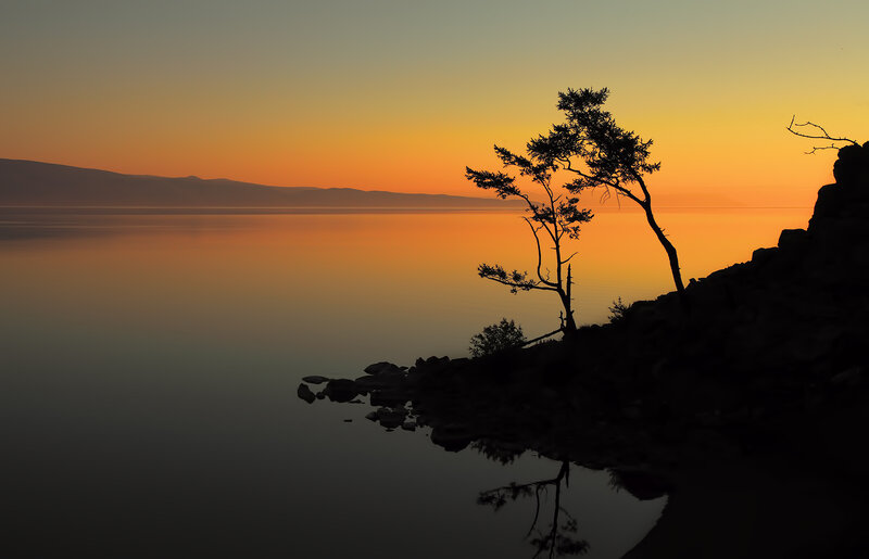 Silhouetted Tree on Shore — Orange, Serene, Sunset