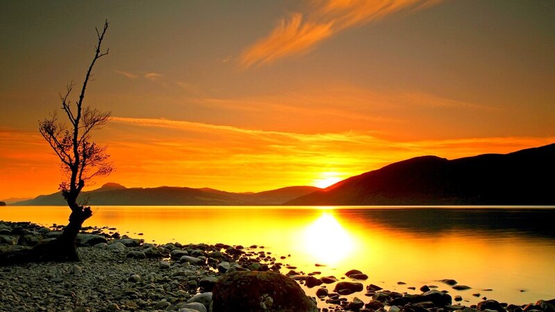 Silhouetted Tree on Shore — Orange, Serene
