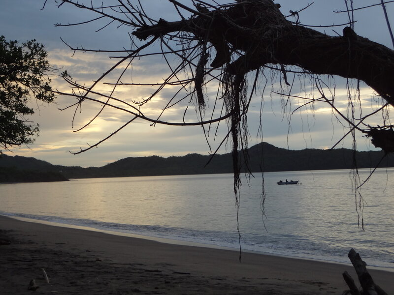 Silhouetted Tree over Beach