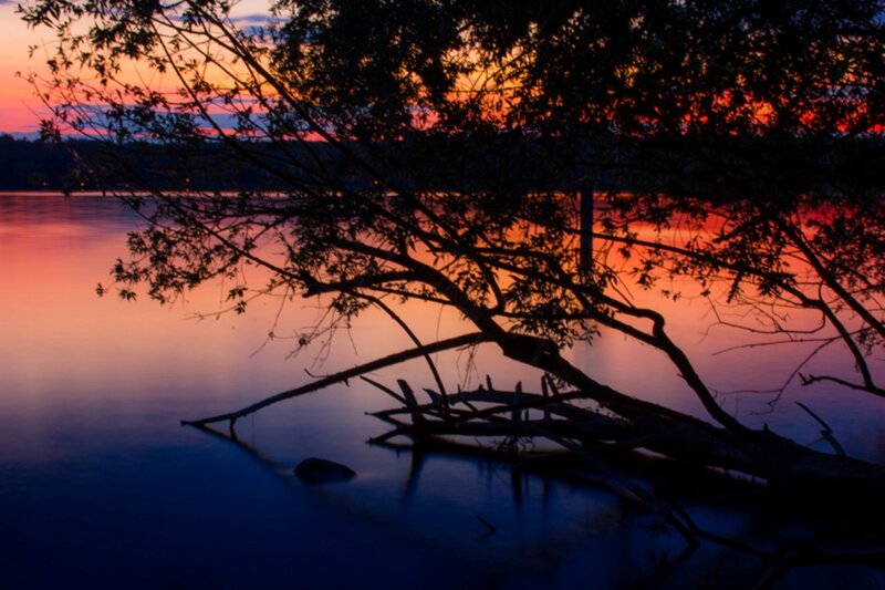 Silhouetted Tree over Lake — Orange
