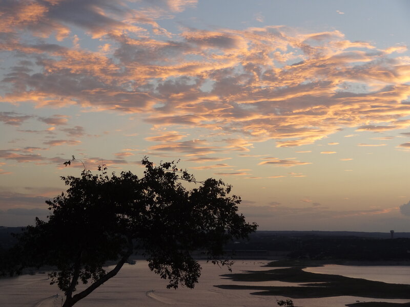 Silhouetted Tree over Lake