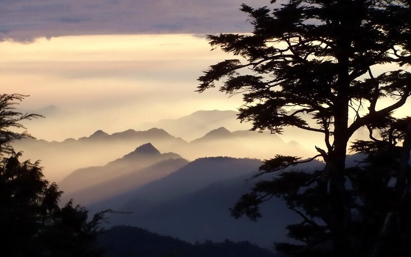 Silhouetted Tree over Mountains