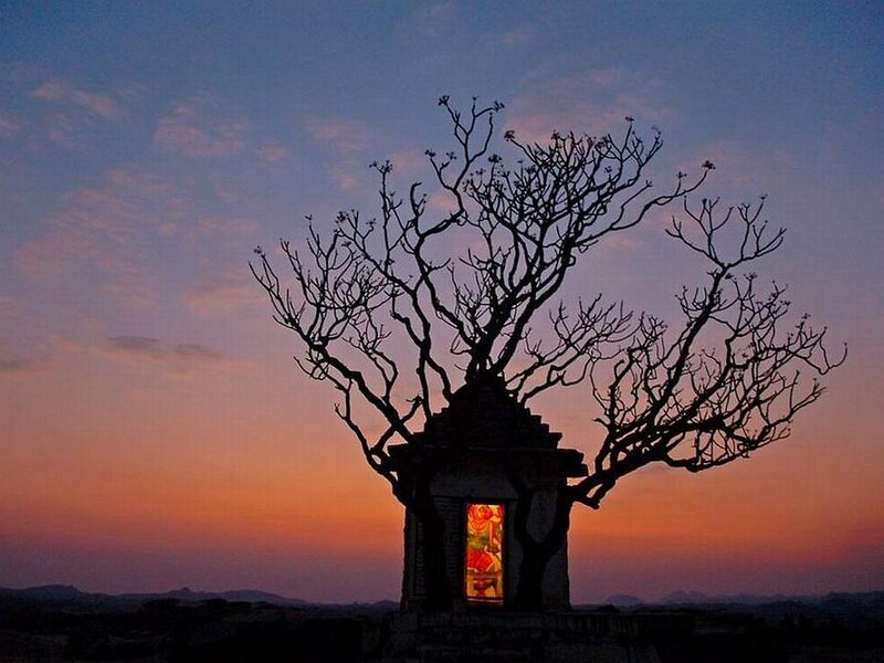 Silhouetted Tree Shrine — Orange