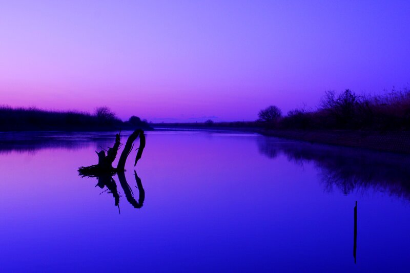 Silhouetted Tree Stump
