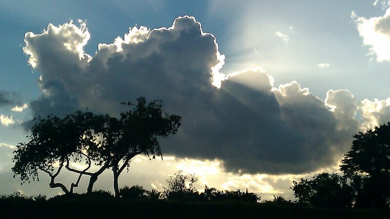 Silhouetted Tree under Clouds