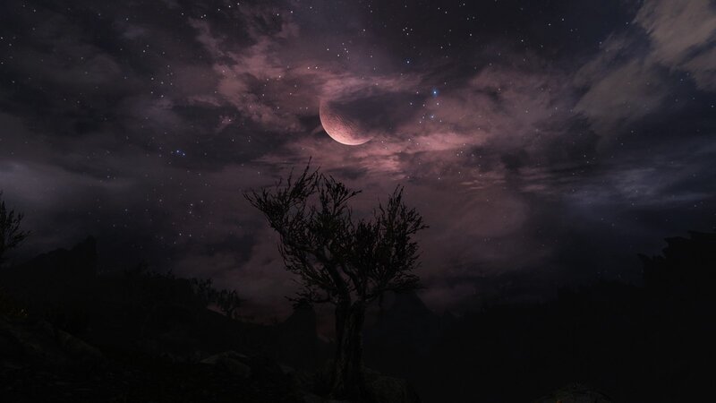 Silhouetted Tree under Moon