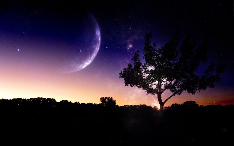 Silhouetted Tree under Planet