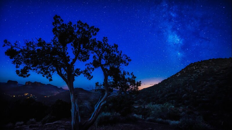 Silhouetted Tree under Stars — Blue, Serene