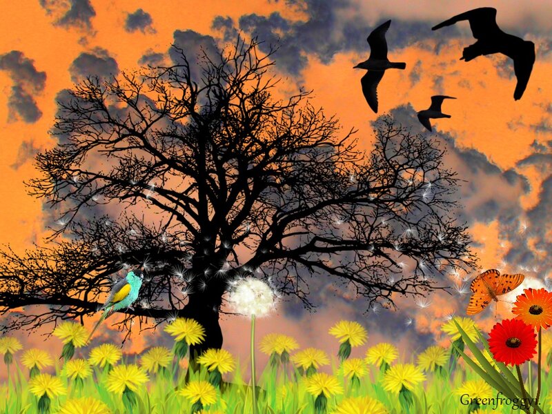 Silhouetted Tree with Birds — Orange, Dramatic