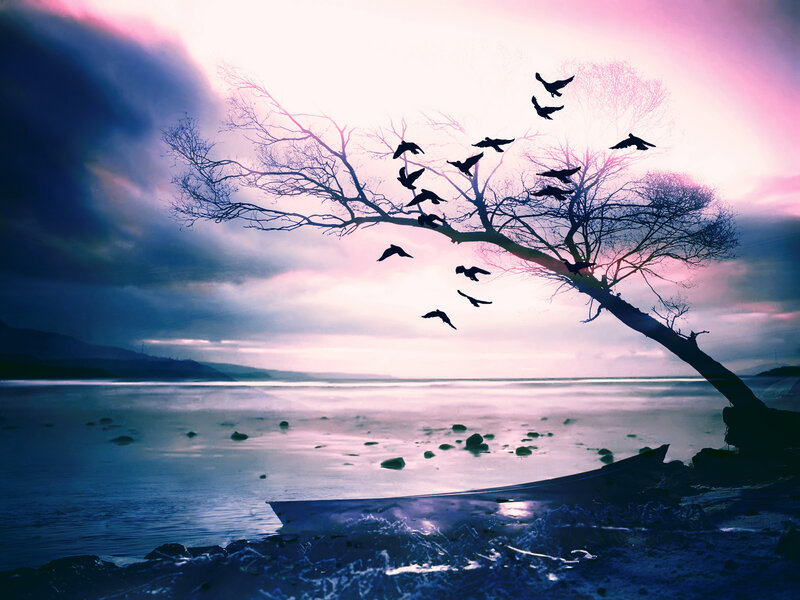 Silhouetted Tree with Birds — Purple